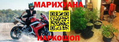гидра Моздок