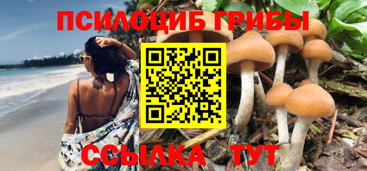 Галлюциногенные грибы прущие грибы  Псилоцибиновые грибы MAGIC MUSHROOMS  Тихвин  Вход с VPN 