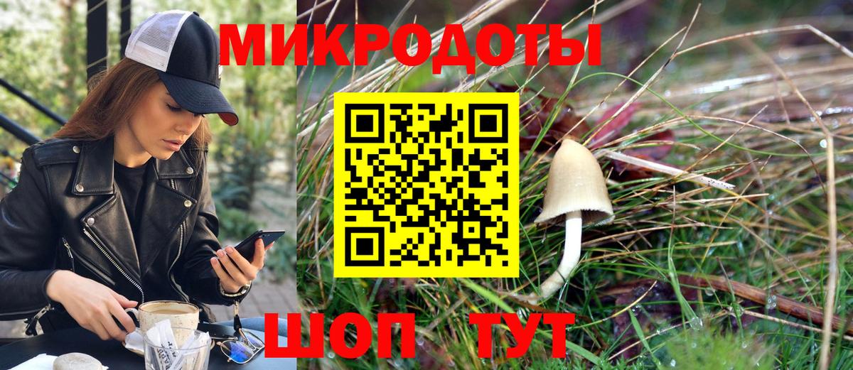 Галлюциногенные грибы Psilocybe Тихвин